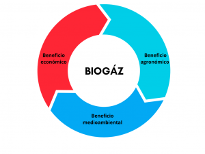 Diagramme intérêts biogaz